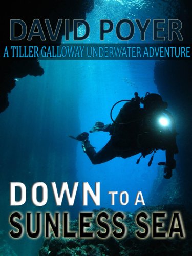 Down to a Sunless Sea book cover